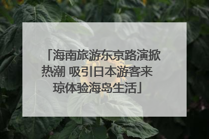 海南旅游东京路演掀热潮 吸引日本游客来琼体验海岛生活