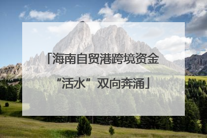 海南自贸港跨境资金“活水”双向奔涌