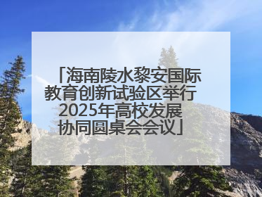 海南陵水黎安国际教育创新试验区举行2025年高校发展协同圆桌会会议