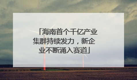 海南首个千亿产业集群持续发力，新企业不断涌入赛道