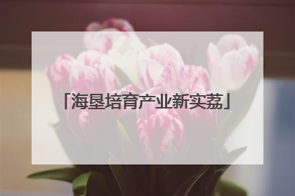 海垦培育产业新实荔