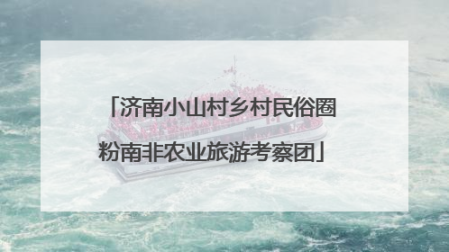 济南小山村乡村民俗圈粉南非农业旅游考察团