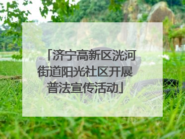 济宁高新区洸河街道阳光社区开展普法宣传活动