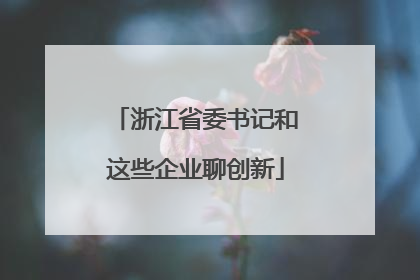 浙江省委书记和这些企业聊创新