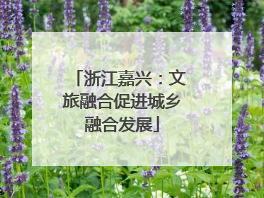 浙江嘉兴：文旅融合促进城乡融合发展