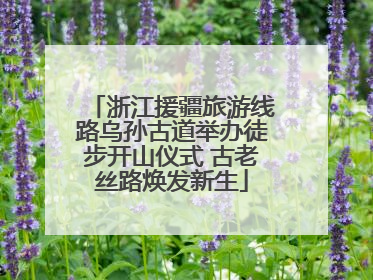 浙江援疆旅游线路乌孙古道举办徒步开山仪式 古老丝路焕发新生