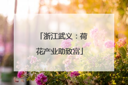 浙江武义：荷花产业助致富