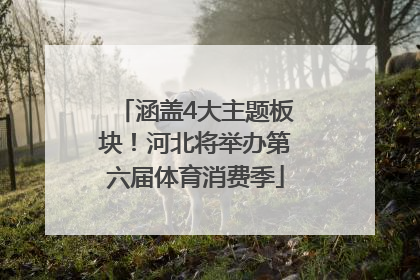 涵盖4大主题板块！河北将举办第六届体育消费季