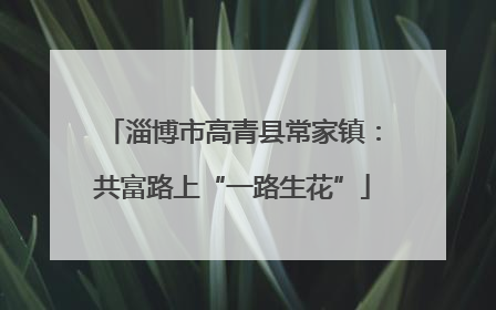 淄博市高青县常家镇：共富路上“一路生花”
