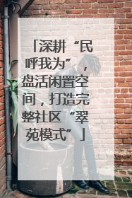 深耕“民呼我为”，盘活闲置空间，打造完整社区“翠苑模式”