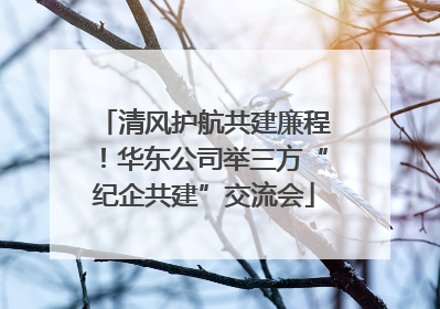 清风护航共建廉程！华东公司举三方“纪企共建”交流会