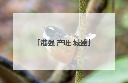 港强 产旺 城盛
