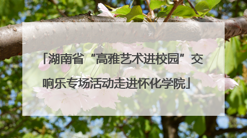 湖南省“高雅艺术进校园”交响乐专场活动走进怀化学院