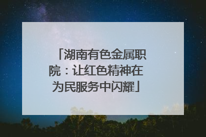湖南有色金属职院：让红色精神在为民服务中闪耀