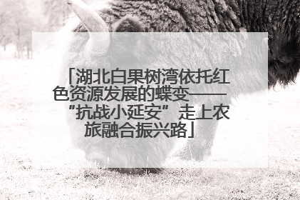 湖北白果树湾依托红色资源发展的蝶变——“抗战小延安”走上农旅融合振兴路