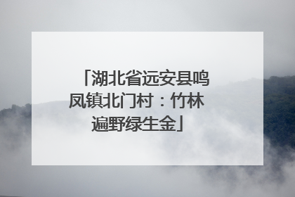 湖北省远安县鸣凤镇北门村：竹林遍野绿生金