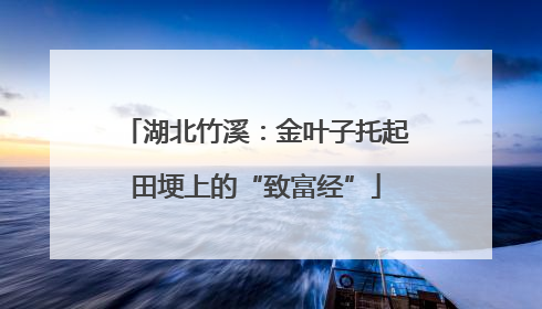 湖北竹溪：金叶子托起田埂上的“致富经”