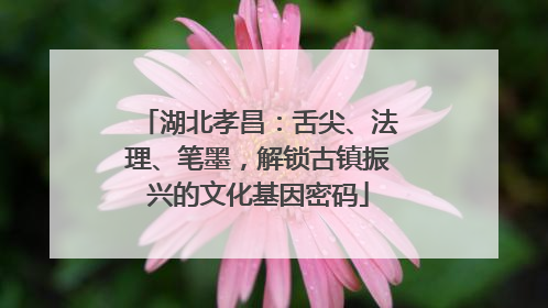 湖北孝昌：舌尖、法理、笔墨，解锁古镇振兴的文化基因密码