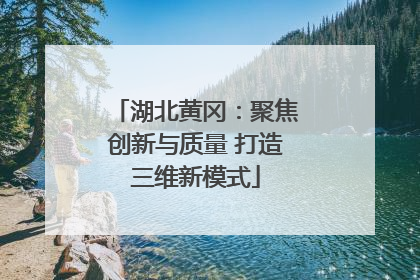 湖北黄冈：聚焦创新与质量 打造三维新模式