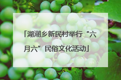 湖潮乡新民村举行“六月六”民俗文化活动