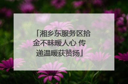 湘乡东服务区拾金不昧暖人心 传递温暖获赞扬