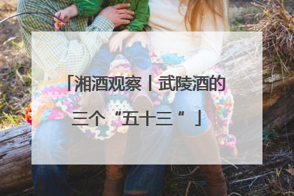 湘酒观察丨武陵酒的三个“五十三 ”