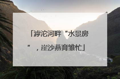 滹沱河畔“水景房”，崖沙燕育雏忙