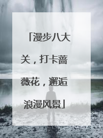 漫步八大关，打卡蔷薇花，邂逅浪漫风景