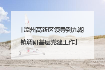 漳州高新区领导到九湖镇调研基层党建工作