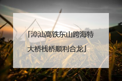 漳汕高铁东山跨海特大桥栈桥顺利合龙