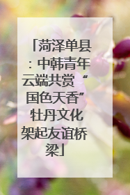 菏泽单县：中韩青年云端共赏“国色天香” 牡丹文化架起友谊桥梁