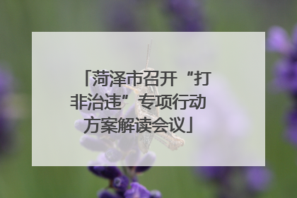 菏泽市召开“打非治违”专项行动方案解读会议