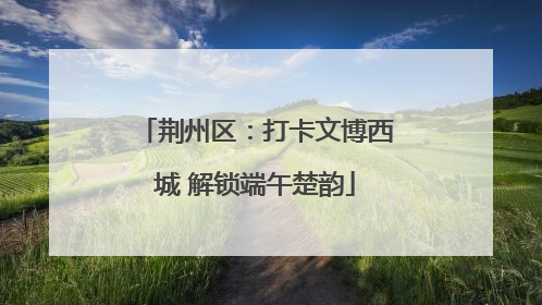 荆州区：打卡文博西城 解锁端午楚韵