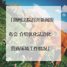 荆州法院召开新闻发布会 介绍优化法治化营商环境工作情况