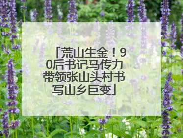 荒山生金！90后书记马传力带领张山头村书写山乡巨变