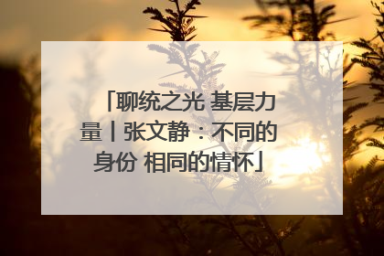 聊统之光 基层力量丨张文静：不同的身份 相同的情怀