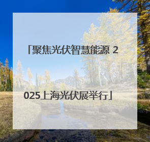 聚焦光伏智慧能源 2025上海光伏展举行