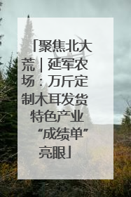 聚焦北大荒｜延军农场：万斤定制木耳发货 特色产业“成绩单”亮眼