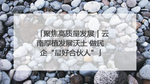 聚焦高质量发展｜云南厚植发展沃土 做民企“最好合伙人”
