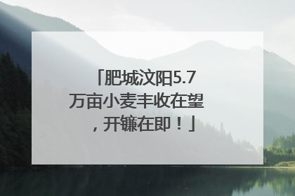 肥城汶阳5.7万亩小麦丰收在望，开镰在即！