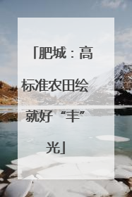 肥城：高标准农田绘就好“丰”光
