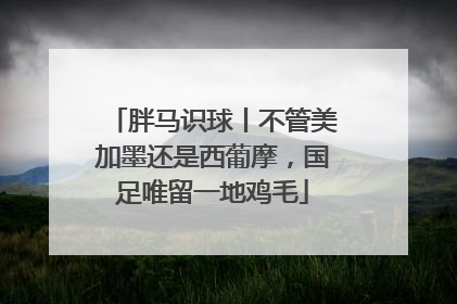 胖马识球丨不管美加墨还是西葡摩，国足唯留一地鸡毛