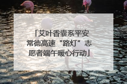 艾叶香囊系平安 常德高速“路灯”志愿者端午暖心行动
