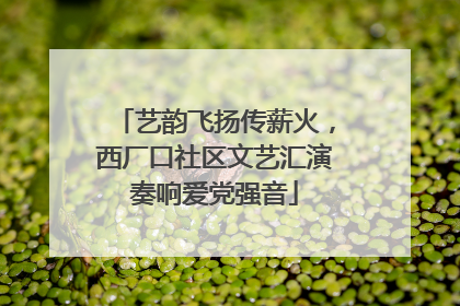 艺韵飞扬传薪火，西厂口社区文艺汇演奏响爱党强音