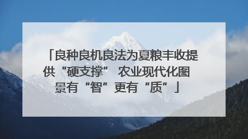 良种良机良法为夏粮丰收提供“硬支撑” 农业现代化图景有“智”更有“质”