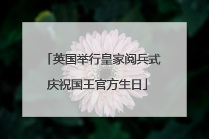 英国举行皇家阅兵式庆祝国王官方生日