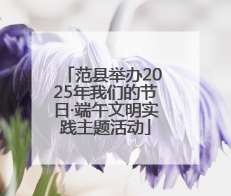 范县举办2025年我们的节日·端午文明实践主题活动