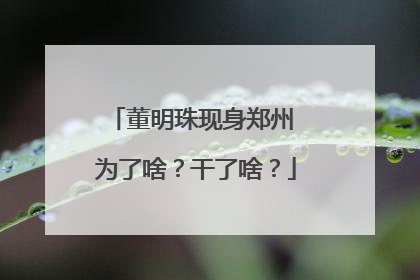 董明珠现身郑州 为了啥？干了啥？