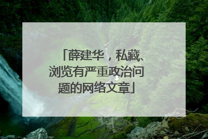 薛建华，私藏、浏览有严重政治问题的网络文章
