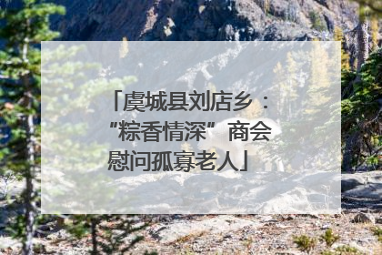 虞城县刘店乡：“粽香情深”商会慰问孤寡老人